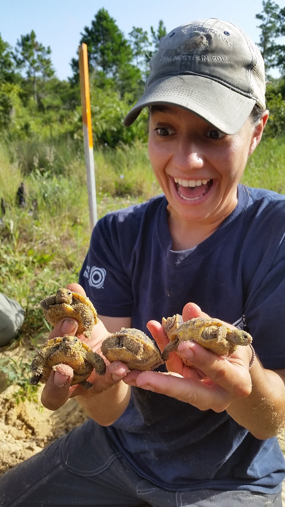 Young woman in a blue gray hat and blue shirt smiles as she looks on at baby tortoises in her hands.